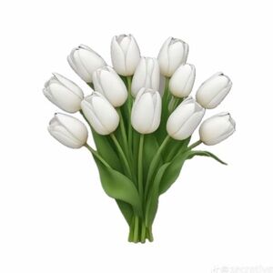 Meet your Posher, Claire